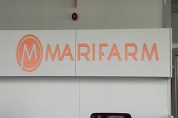 Marifarm
