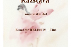 Razstava-HELESHY (1)