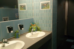 zelen wc 4