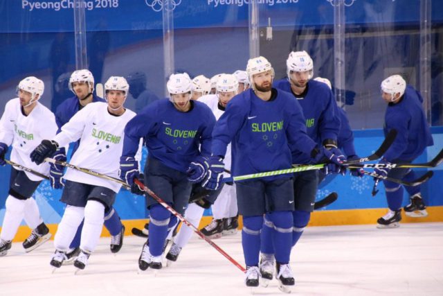 Vir:  Hokejska zveza Slovenije / Ice Hockey Federation of Slovenia