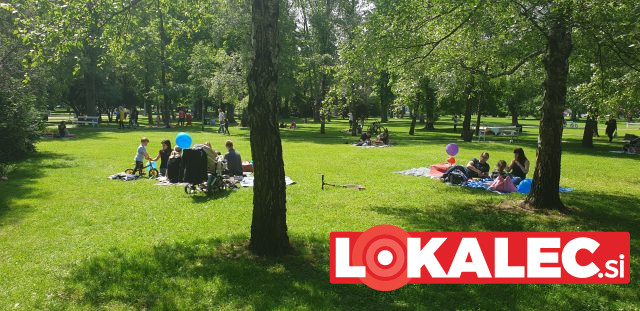3. mestni piknik v Mariboru6