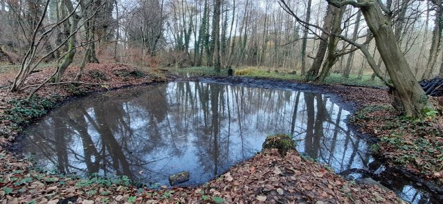 Onesnažene površinske vode v Stražunskem gozdu. Vir: MO Maribor 