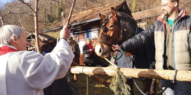 Blagoslov konj v Selnici ob Dravi